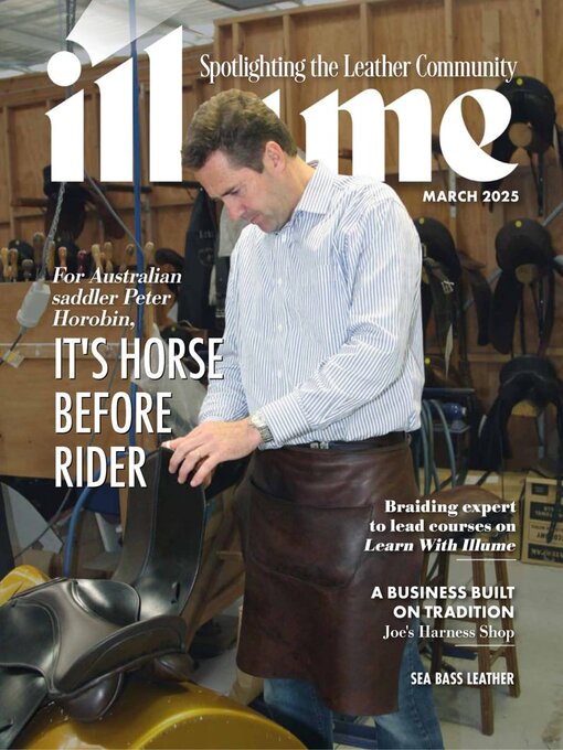 Cover image for Illume